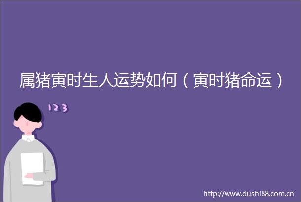属猪寅时生人运势如何（寅时猪命运）