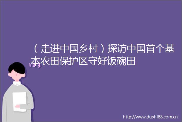 （走进乡村）探访首个基本农田保护区守好饭碗田
