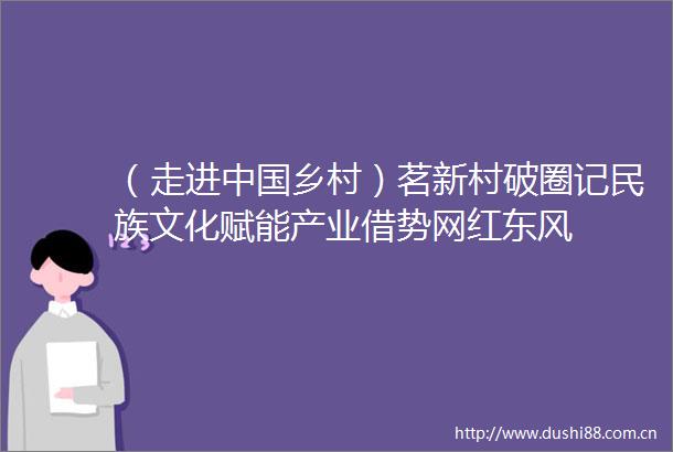 （走进乡村）茗新村破圈记民族文化赋能产业借势网红东风