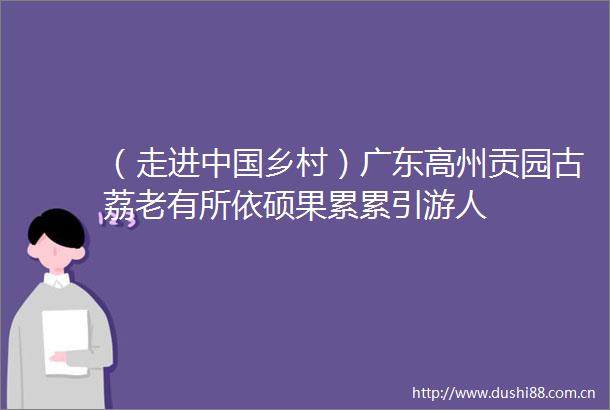 （走进乡村）广东高州贡园古荔老有所依硕果累累引游人