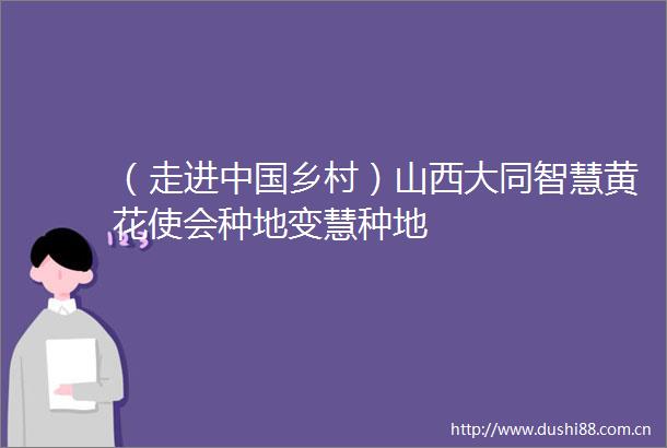 （走进乡村）山西大同智慧黄花使会种地变慧种地