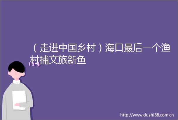 （走进乡村）海口最后一个渔村捕文旅新鱼