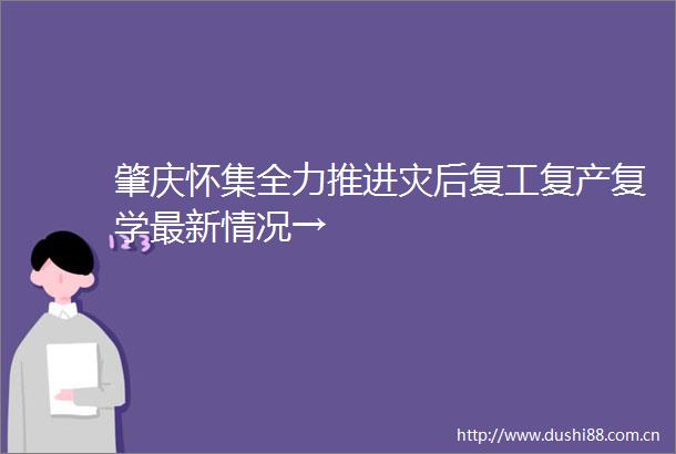 肇庆怀集全力推进灾后复工复产复学最新情况→