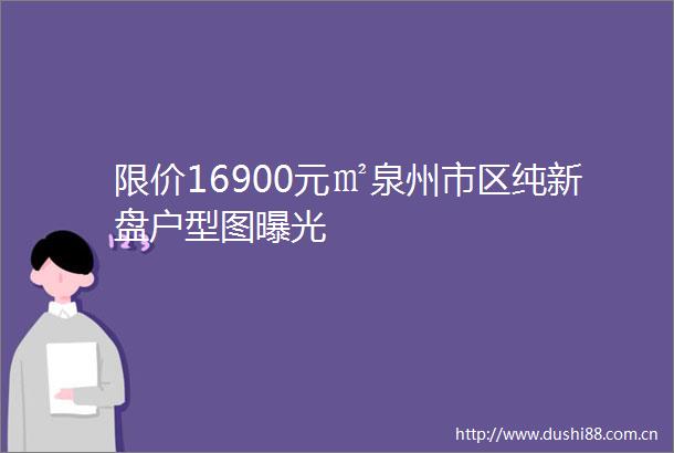 限价16900元㎡泉州市区纯新盘户型图