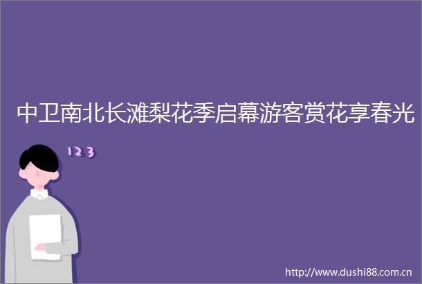 中卫南北长滩梨花季启幕游客赏花享春光