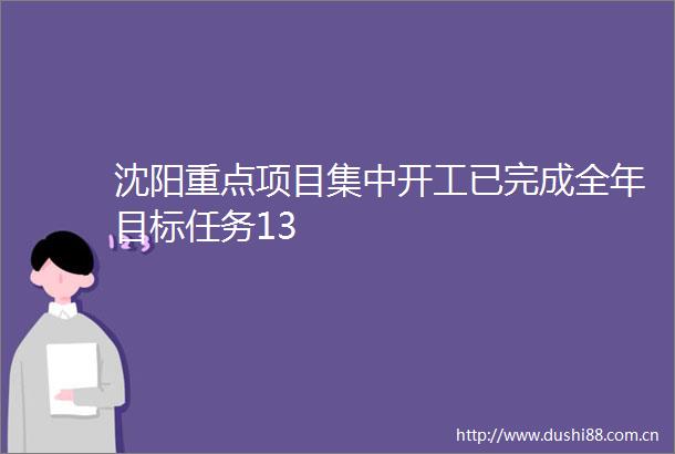 沈阳重点项目集中开工已完成全年目标任务13