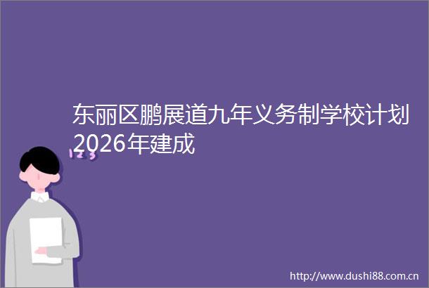 东丽区鹏展道九年义务制学校计划2026年建成