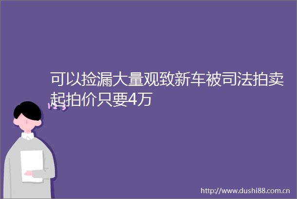 可以捡漏大量观致新车被司法拍卖起拍价只要4万