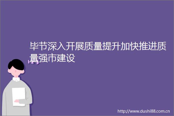 毕节深入开展质量提升加快推进质量强市建设