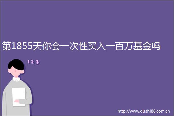 第1855天你会一次性买入一百万基金吗