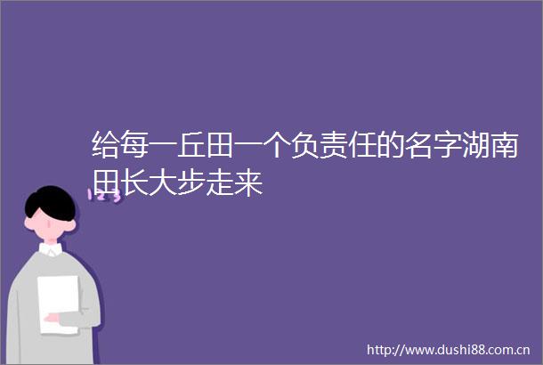 给每一丘田一个负责任的名字湖南田长大步走来