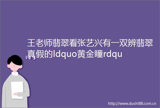 王老师翡翠看张艺兴有一双辨翡翠真假的ldquo黄金瞳rdquo