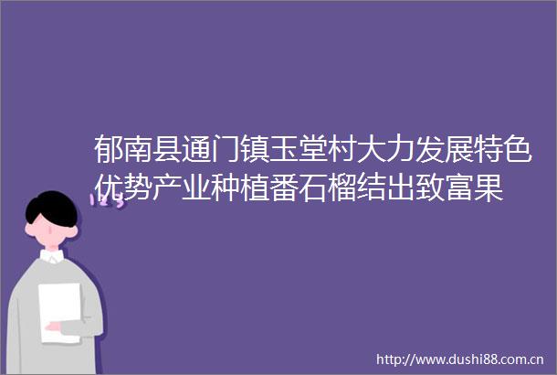 郁南县通门镇玉堂村大力发展特色优势产业种植番石榴结出致富果