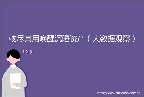物尽其用唤醒沉睡资产（大数据观察）