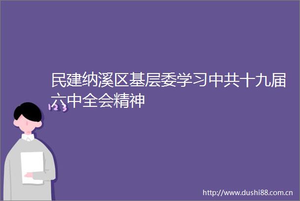 民建纳溪区基层委学习十九届六中全会精神