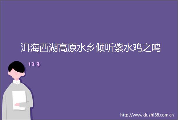 洱海西湖高原水乡倾听紫水鸡之鸣
