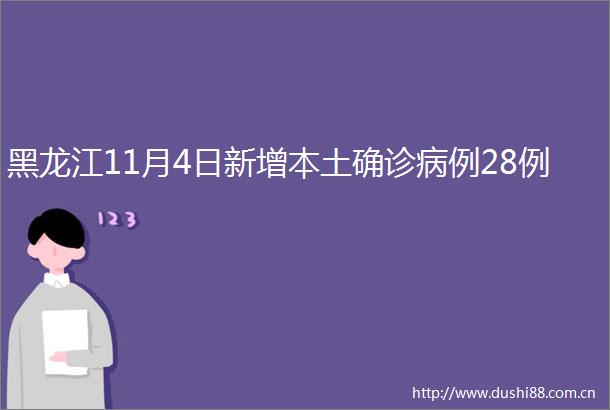 黑龙江11月4日新增本土确诊病例28例