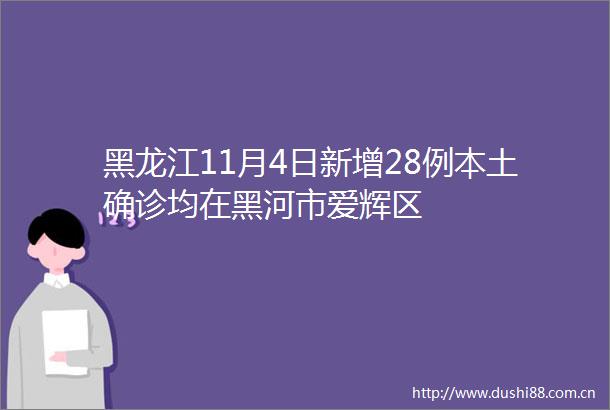 黑龙江11月4日新增28例本土确诊均在黑河市爱辉区
