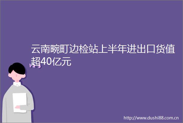 云南畹町边检站上半年进出口货值超40亿元