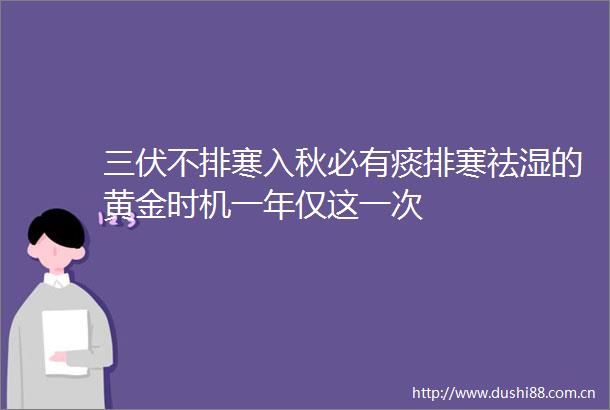 三伏不排寒入秋必有痰排寒祛湿的黄金时机一年仅这一次