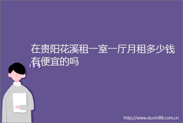 在贵阳花溪租一室一厅月租多少钱有便宜的吗