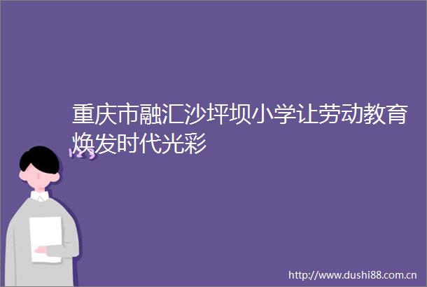 重庆市融汇沙坪坝小学让劳动教育焕发时代光彩