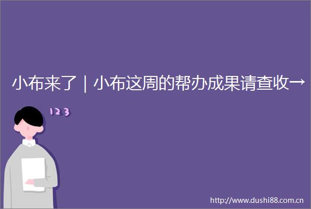小布来了｜小布这周的帮办成果请查收→