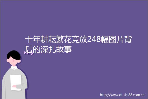 十年耕耘繁花竞放248幅图片背后的深扎故事