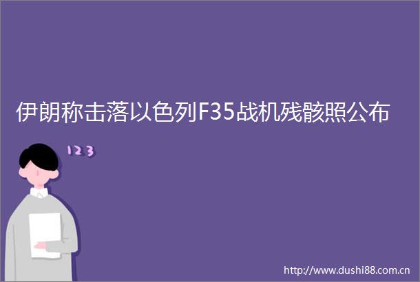 伊朗称击落以色列F35战机残骸照公布
