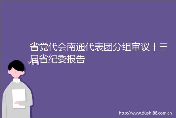 省党代会南通代表团分组审议十三届省纪委报告