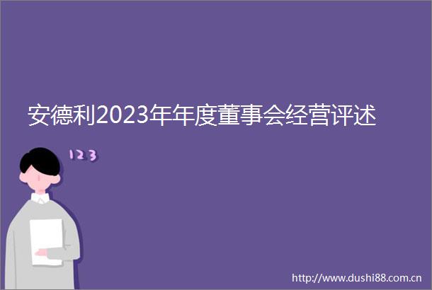 安德利2023年年度董事会经营评述