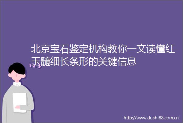 北京宝石鉴定机构教你一文读懂红玉髓细长条形的关键信息