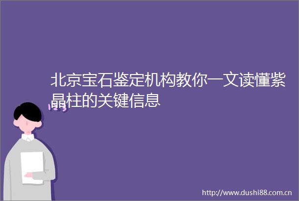 北京宝石鉴定机构教你一文读懂紫晶柱的关键信息
