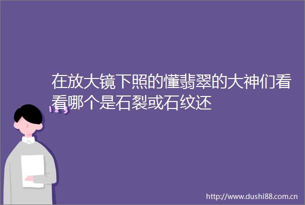 在放大镜下照的懂翡翠的大神们看看哪个是石裂或石纹还