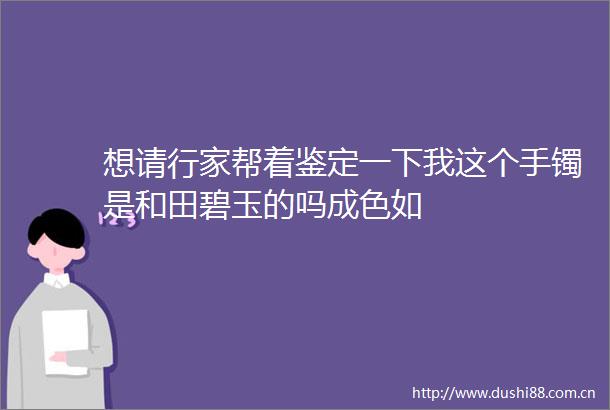 想请行家帮着鉴定一下我这个手镯是和田碧玉的吗成色如