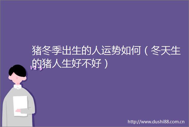 猪冬季出生的人运势如何（冬天生的猪人生好不好）