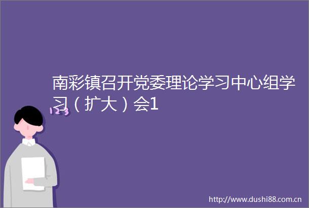 南彩镇召开党委理论学习中心组学习（扩大）会1