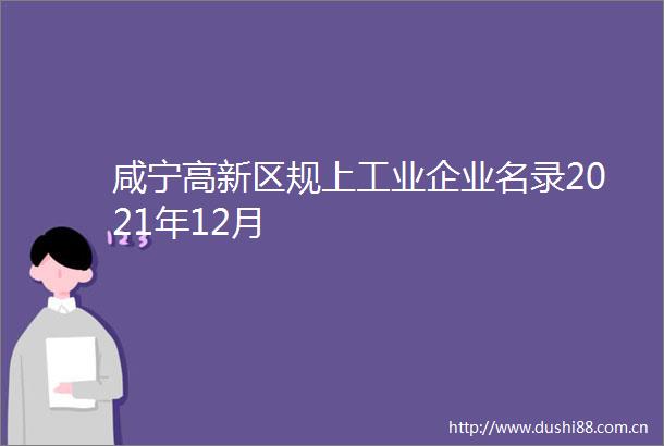 咸宁高新区规上工业企业名录2021年12月