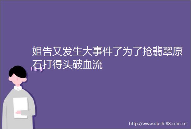 姐告又发生大了为了抢翡翠原石打得头破血流