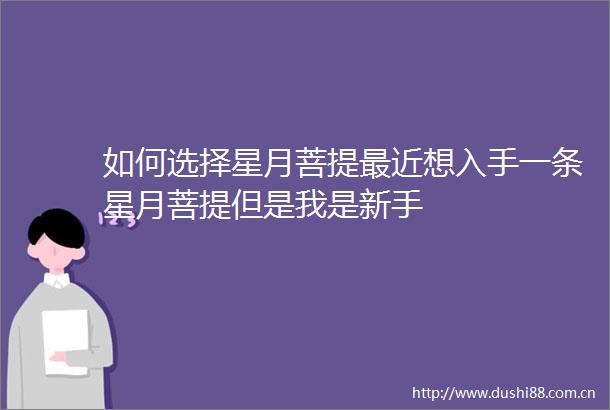 如何选择星月菩提最近想入手一条星月菩提但是我是新手