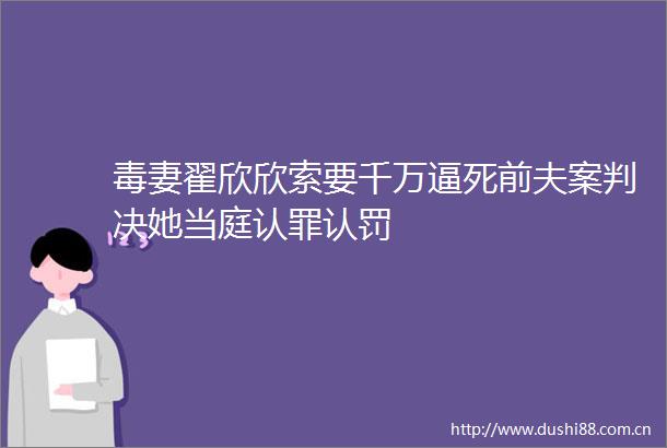 毒妻翟欣欣索要千万逼死前夫案她当庭认罪认罚