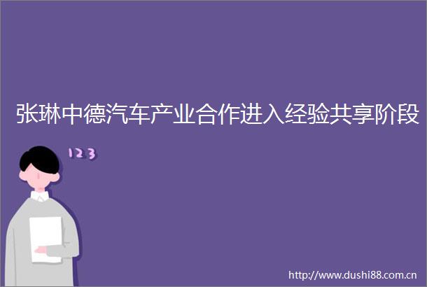 张琳中德汽车产业合作进入经验共享阶段