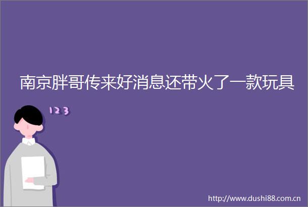 南京胖哥传来好消息还带火了一款玩具