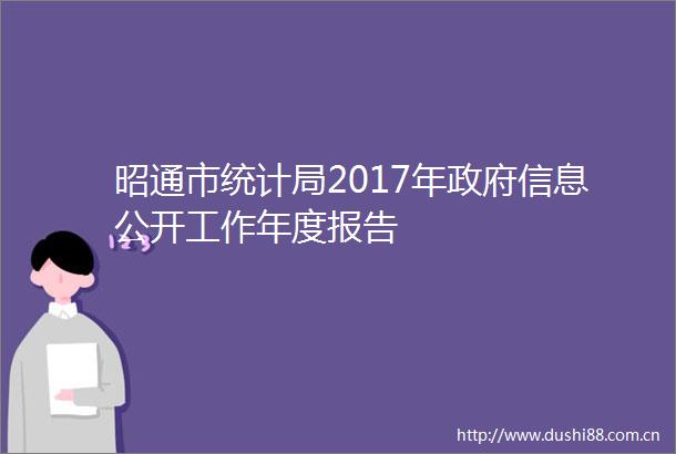 昭通市统计局2017年信息公开工作年度报告