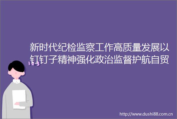 新时代纪检监察工作高质量发展以钉钉子精神强化监督护航自贸港建设行稳致远