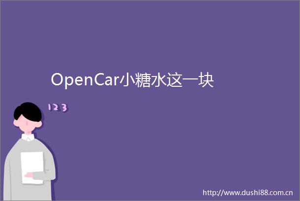 OpenCar小糖水这一块