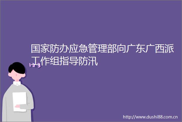 防办应急管理部向广东广西派工作组指导防汛