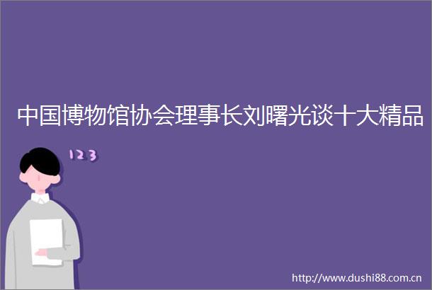 博物馆协会理事长刘曙光谈十大精品