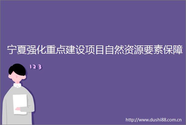 宁夏强化重点建设项目自然资源要素保障