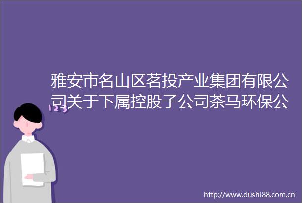 雅安市名山区茗投产业集团有限公司关于下属控股子公司茶马环保公司招聘财务部副部长的公告